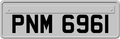 PNM6961