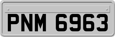 PNM6963