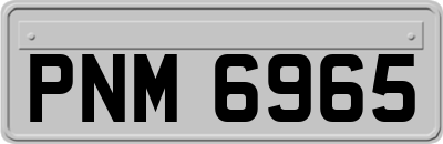 PNM6965