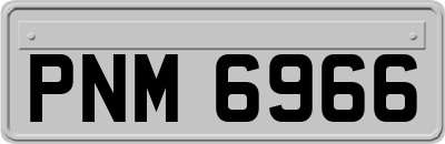 PNM6966