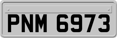 PNM6973