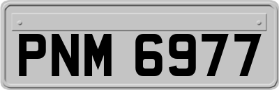 PNM6977