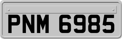 PNM6985