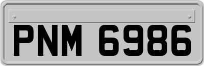 PNM6986