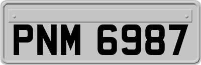 PNM6987