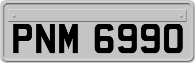 PNM6990
