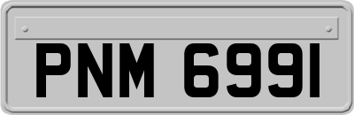 PNM6991