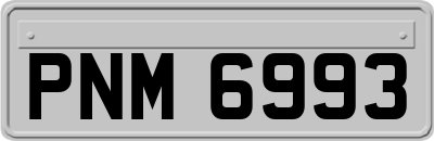 PNM6993