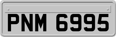 PNM6995
