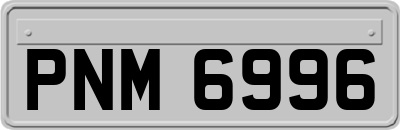 PNM6996
