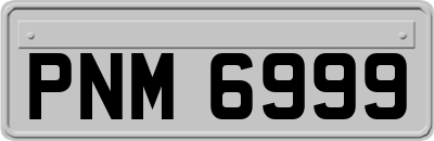 PNM6999