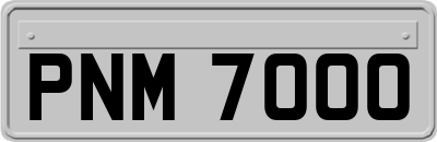 PNM7000