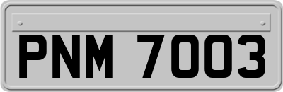 PNM7003