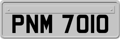 PNM7010