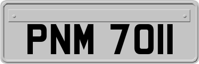 PNM7011