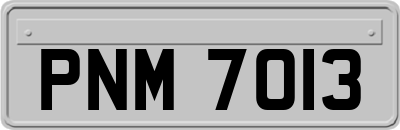 PNM7013