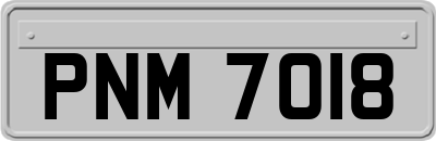 PNM7018