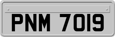 PNM7019