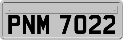 PNM7022