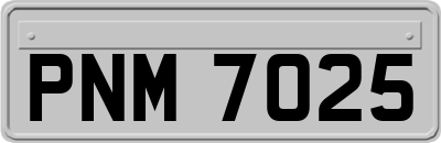 PNM7025