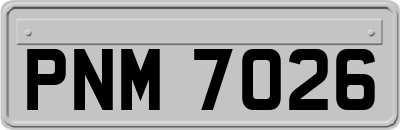 PNM7026