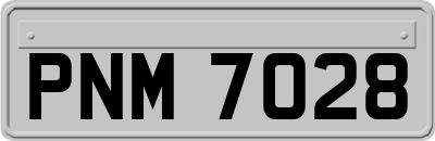PNM7028