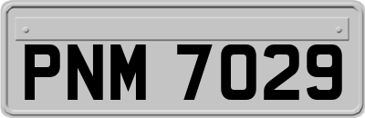 PNM7029