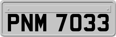PNM7033
