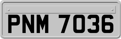 PNM7036