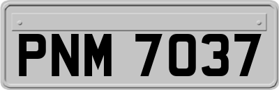 PNM7037
