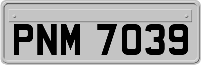 PNM7039