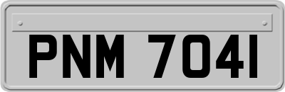 PNM7041