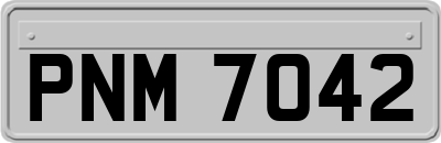 PNM7042