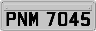 PNM7045