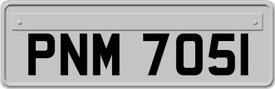 PNM7051