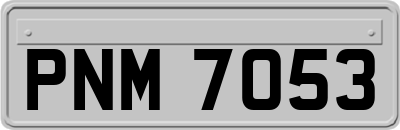 PNM7053