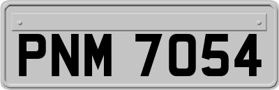 PNM7054