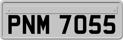 PNM7055