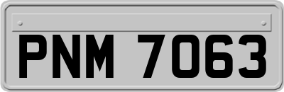 PNM7063