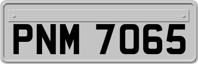 PNM7065