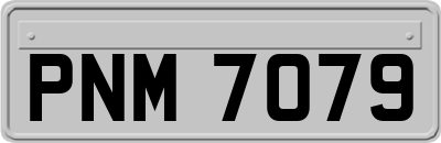 PNM7079