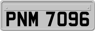 PNM7096