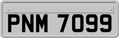 PNM7099