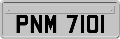PNM7101