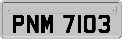 PNM7103