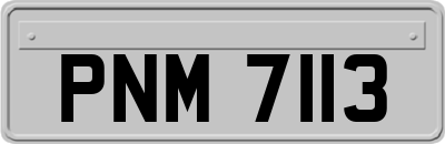PNM7113