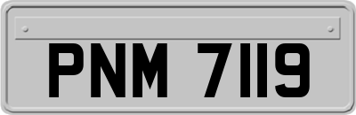 PNM7119