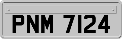 PNM7124