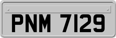 PNM7129