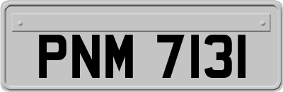 PNM7131